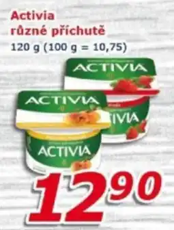 ESO MARKET Activia různé příchutě nabídka