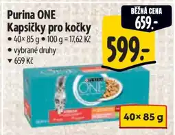 Albert Purina ONE Kapsičky pro kočky nabídka