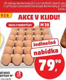 Penny Market Čerstvá vejce z podestýlky M 30ks nabídka