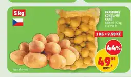 Penny Market BRAMBORY KONZUMNÍ RANÉ nabídka