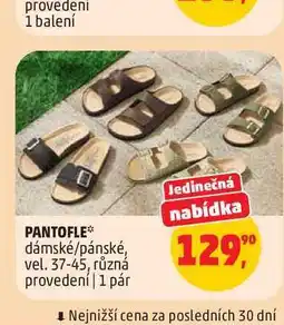 Penny Market PANTOFLE* dámské/pánské, vel. 37-45, různá provedení | 1 pár nabídka