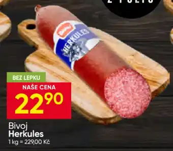 Bivoj Herkules