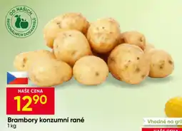 Hruška Brambory konzumní rané nabídka
