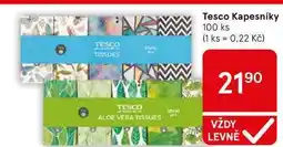Tesco Tesco Kapesníky, 100 ks nabídka