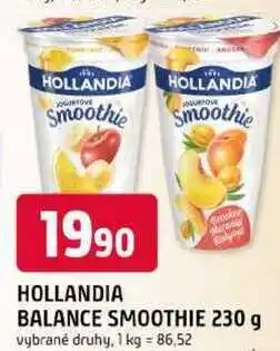 Trefa HOLLANDIA BALANCE SMOOTHIE nabídka