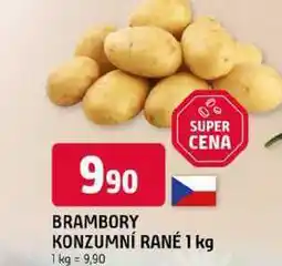 Trefa BRAMBORY KONZUMNÍ RANÉ nabídka