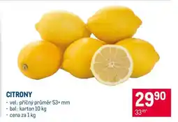 Makro Citrony nabídka