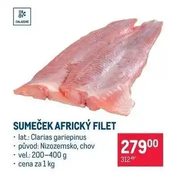 Makro Sumeček africký filet nabídka