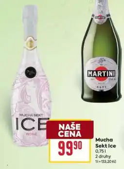 Billa Mucha sekt ICE nabídka