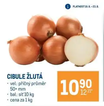 Cibule žlutá