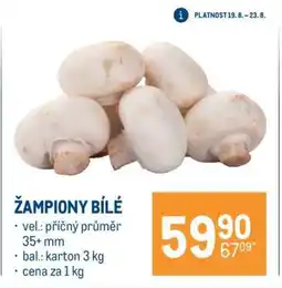 Makro Žampiony bílé nabídka