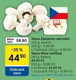 Tesco Tesco Žampiony zahradní nabídka