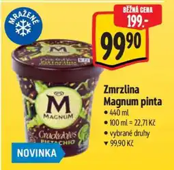 Albert Zmrzlina Magnum Pinta nabídka