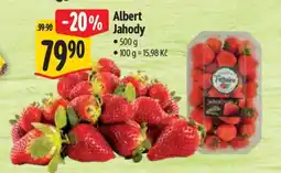 Albert Albert Jahody nabídka