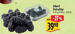 Albert Albert Ostružiny nabídka