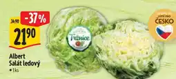 Albert Albert Salát ledový nabídka