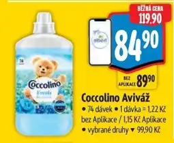 Albert Coccolino aviváž nabídka