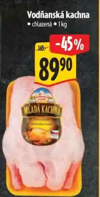 Albert Vodňanská kachna nabídka