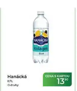 Tamda Foods Hanácká nabídka