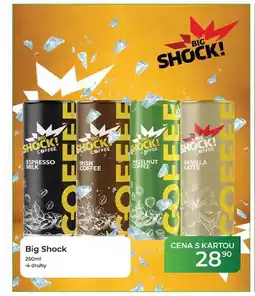 Tamda Foods Big Shock nabídka