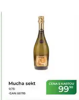 Tamda Foods Mucha sekt nabídka