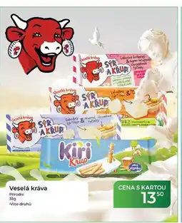 Tamda Foods Veselá kráva Přírodní nabídka