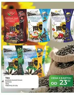 Tamda Foods Yes pražená slunečnicová semena nabídka