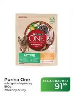 Tamda Foods Purina One mini granule pro psy nabídka