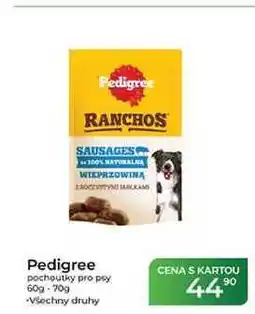 Tamda Foods Pedigree pochoutky pro psy 60g-70g nabídka