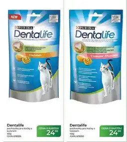 Tamda Foods Dentalife pochoutky pro kočky s lososem nabídka