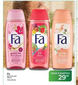 Tamda Foods Fa Sprchový gel nabídka