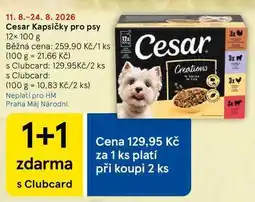 Tesco Cesar Kapsičky pro psy, 12× nabídka