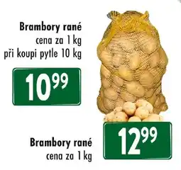 Qanto Brambory rané nabídka