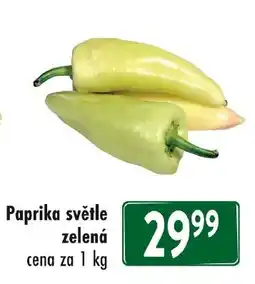Qanto Paprika světle zelená nabídka
