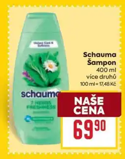 Billa Schauma Šampon nabídka