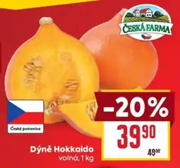Billa Dýně hokkaido nabídka