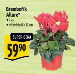 Albert Brambořík Allure nabídka