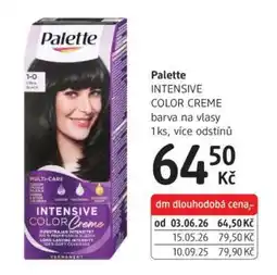 dm drogerie Palette nabídka