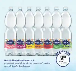 Adam Hanácká kyselka ochucená nabídka