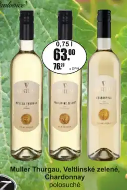 Adam Vintum Muller Thurgau, Veltlínské zelené, Chardonnay polosuché nabídka