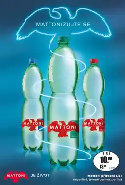 Adam Mattoni přírodní nabídka