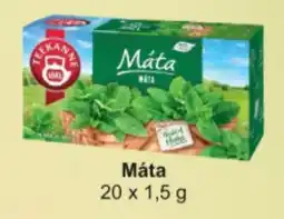 Adam Teekanne Máta nabídka
