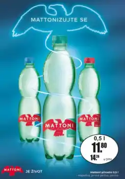 Adam Mattoni přírodní nabídka