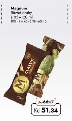 TRAVEL FREE Magnum Různé druhy à nabídka