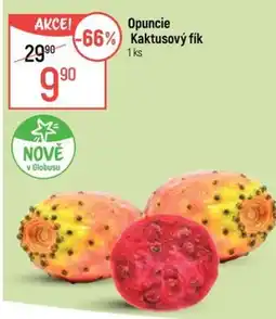 Globus Opuncie Kaktusový fík nabídka