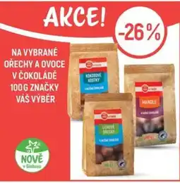 Globus Vrata ořechy a ovoce v čokoládě nabídka