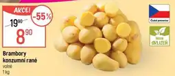 Globus Brambory konzumní rané nabídka