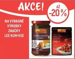 Globus Lee Kum Kee teriyaki omáčka nabídka