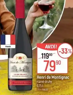 Globus Henri de Montignac nabídka