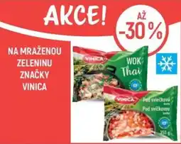 Globus Vinica mražená zelenina nabídka